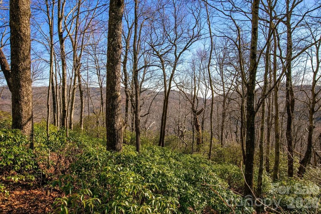 TBD Oak Ridge Road