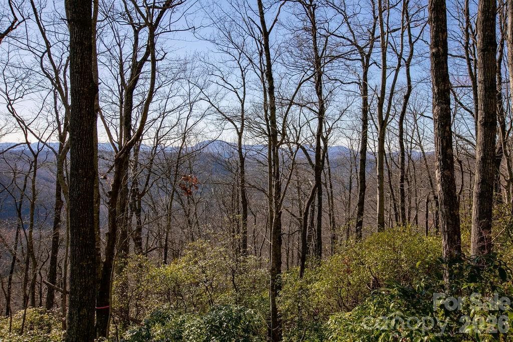 Mountain Views - TBD Oak Ridge Road, Rosman