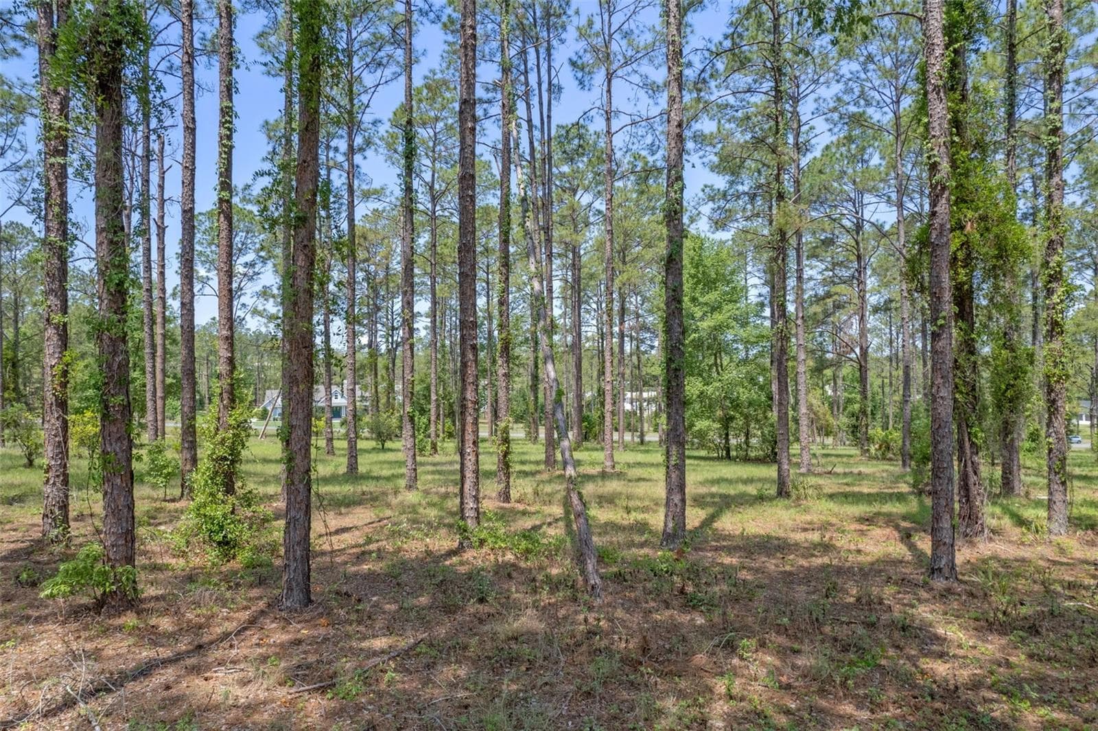 Land at 35408 PINEGATE TRL, EUSTIS, photo 4 of 16