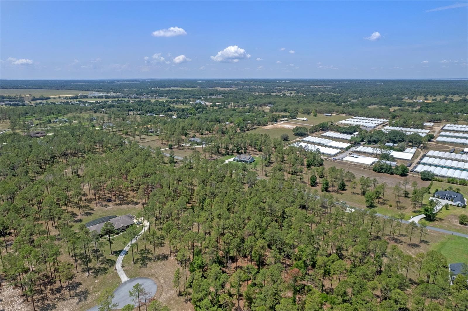 Land at 35408 PINEGATE TRL, EUSTIS, photo 14 of 16