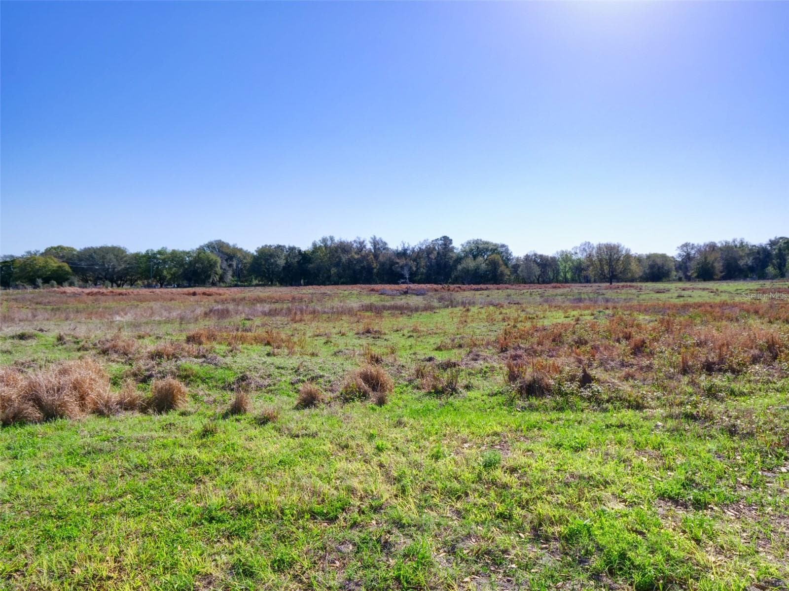 Land at 000000- CR 614A, BUSHNELL, photo 15 of 19