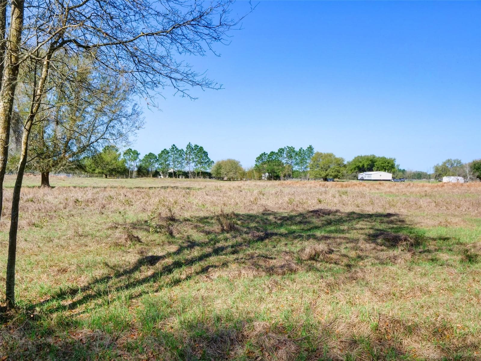 Land at 000000- CR 614A, BUSHNELL, photo 16 of 19