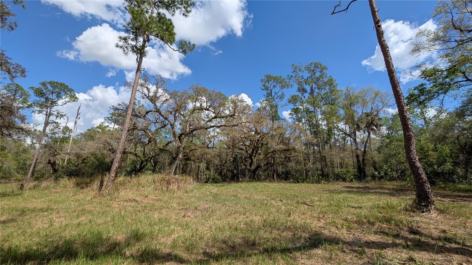 Land at GILLETTE RD, ZOLFO SPRINGS, photo 5 of 86