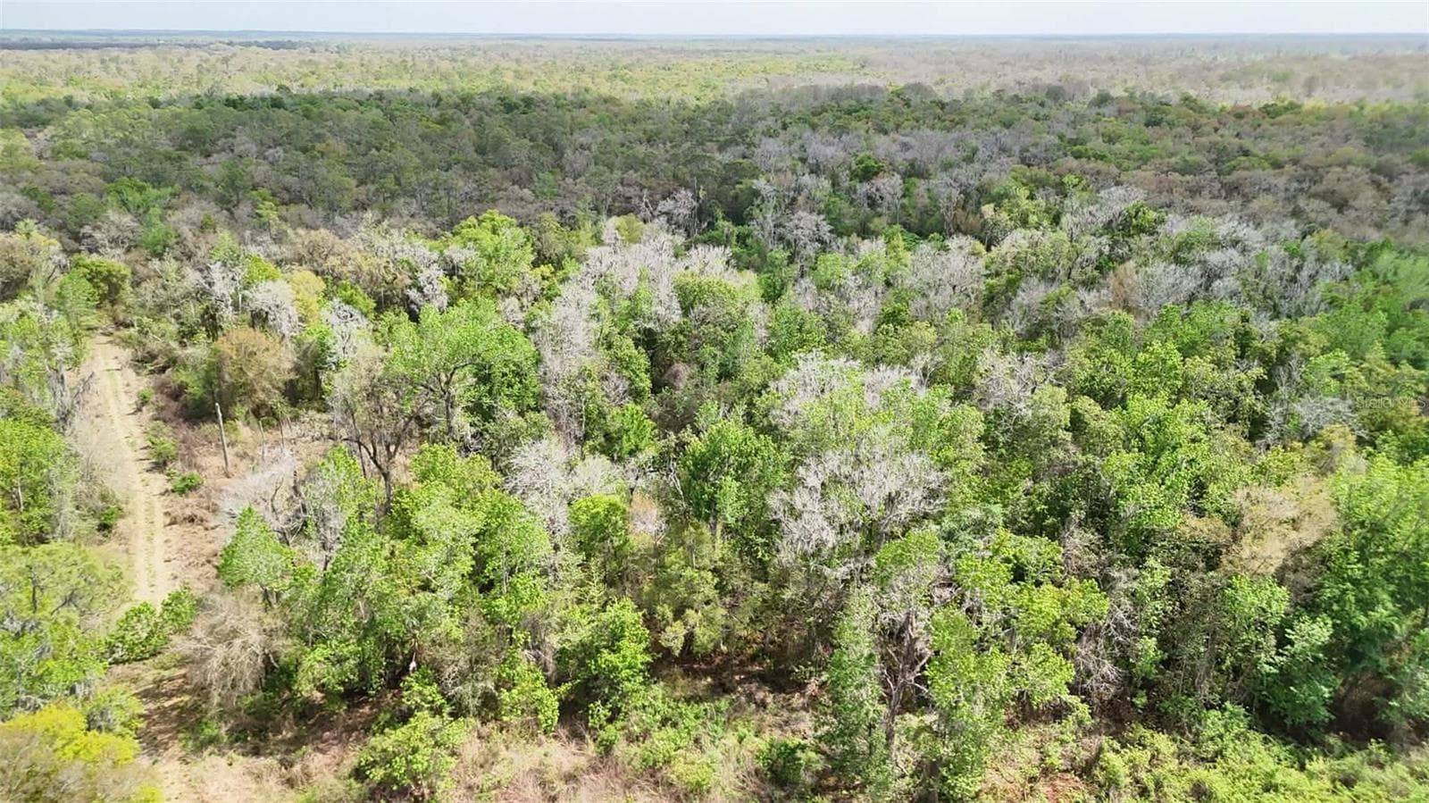 Land at GILLETTE RD, ZOLFO SPRINGS, photo 9 of 86