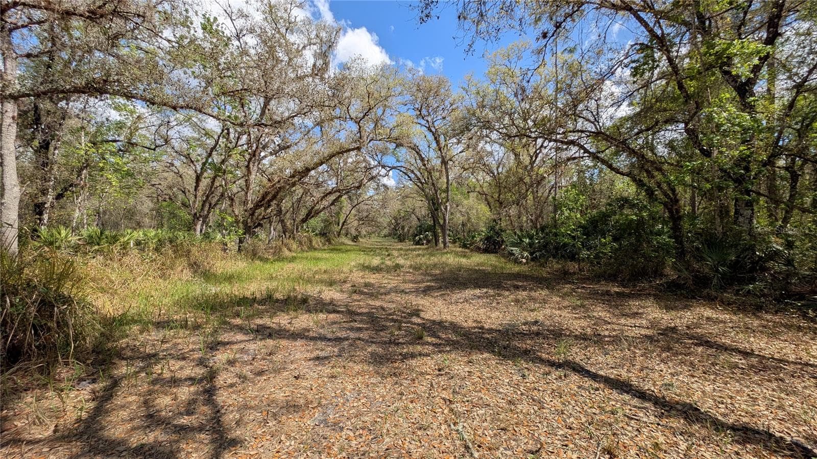 Land at GILLETTE RD, ZOLFO SPRINGS, photo 4 of 86