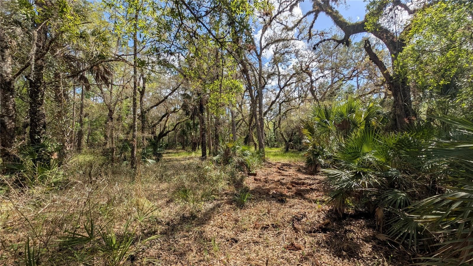 Land at GILLETTE RD, ZOLFO SPRINGS, photo 10 of 86