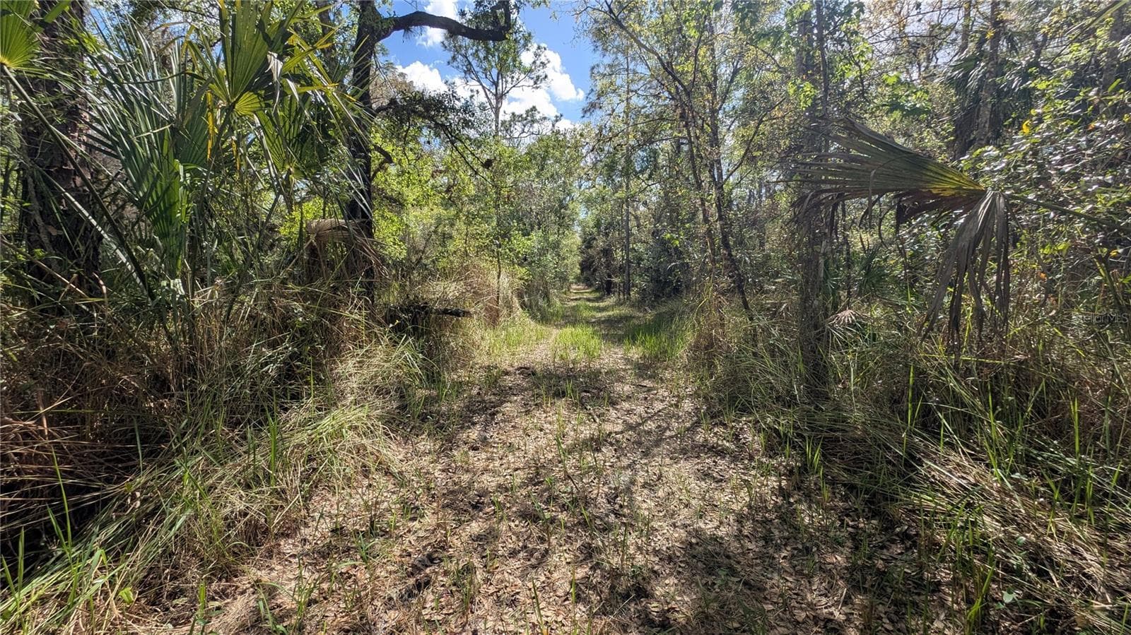 Land at GILLETTE RD, ZOLFO SPRINGS, photo 12 of 86