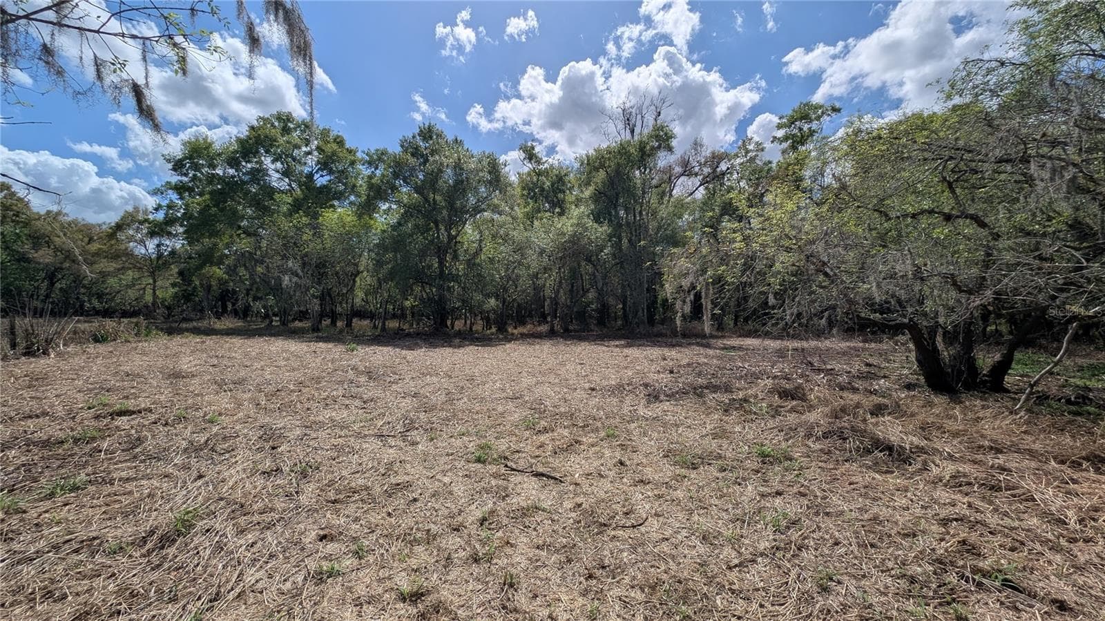 Land at GILLETTE RD, ZOLFO SPRINGS, photo 13 of 86