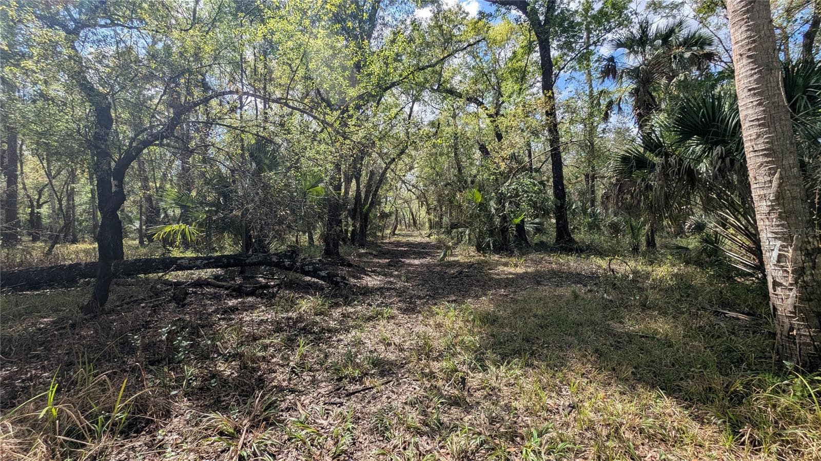 Land at GILLETTE RD, ZOLFO SPRINGS, photo 17 of 86