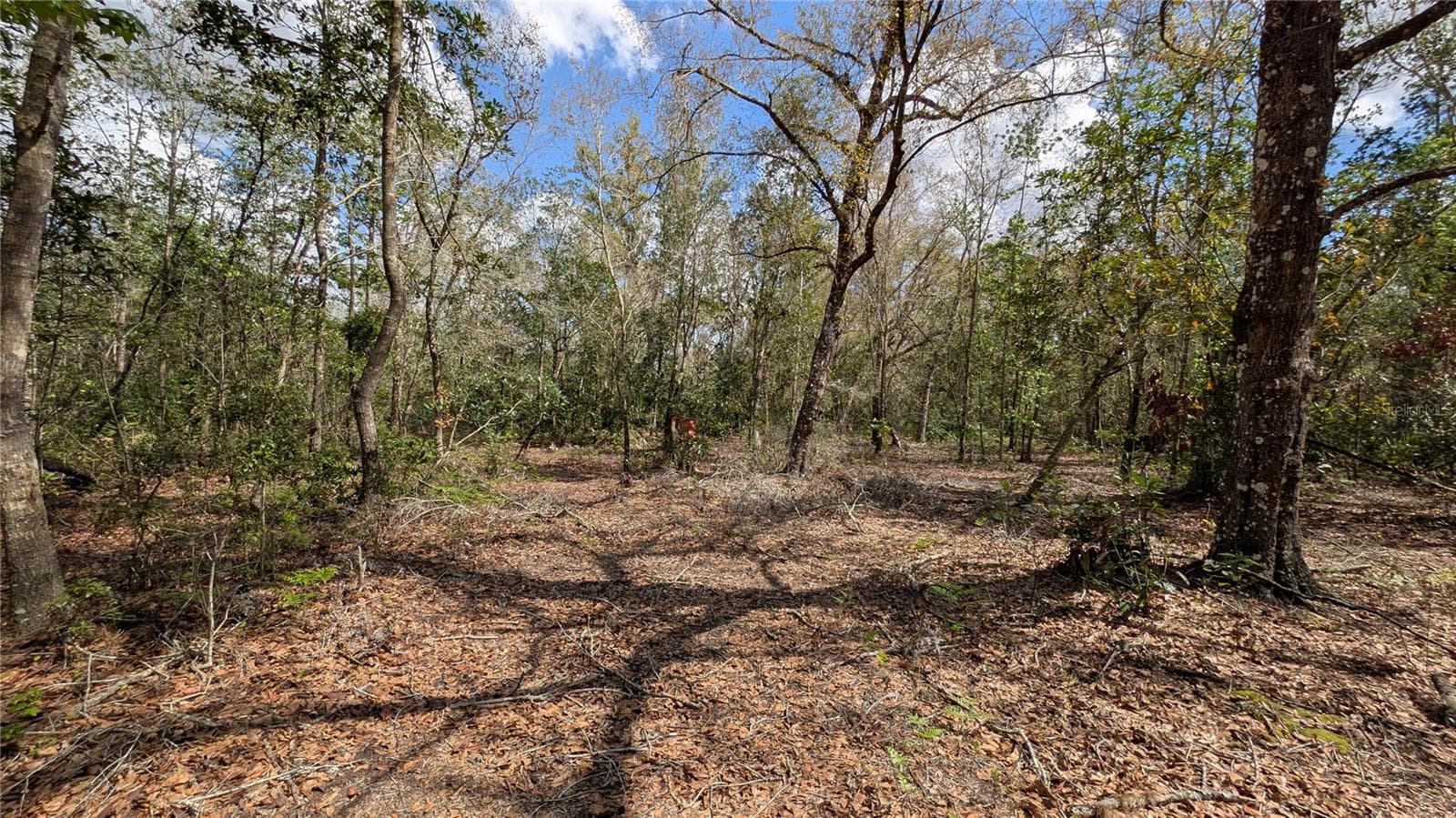 Land at GILLETTE RD, ZOLFO SPRINGS, photo 23 of 86