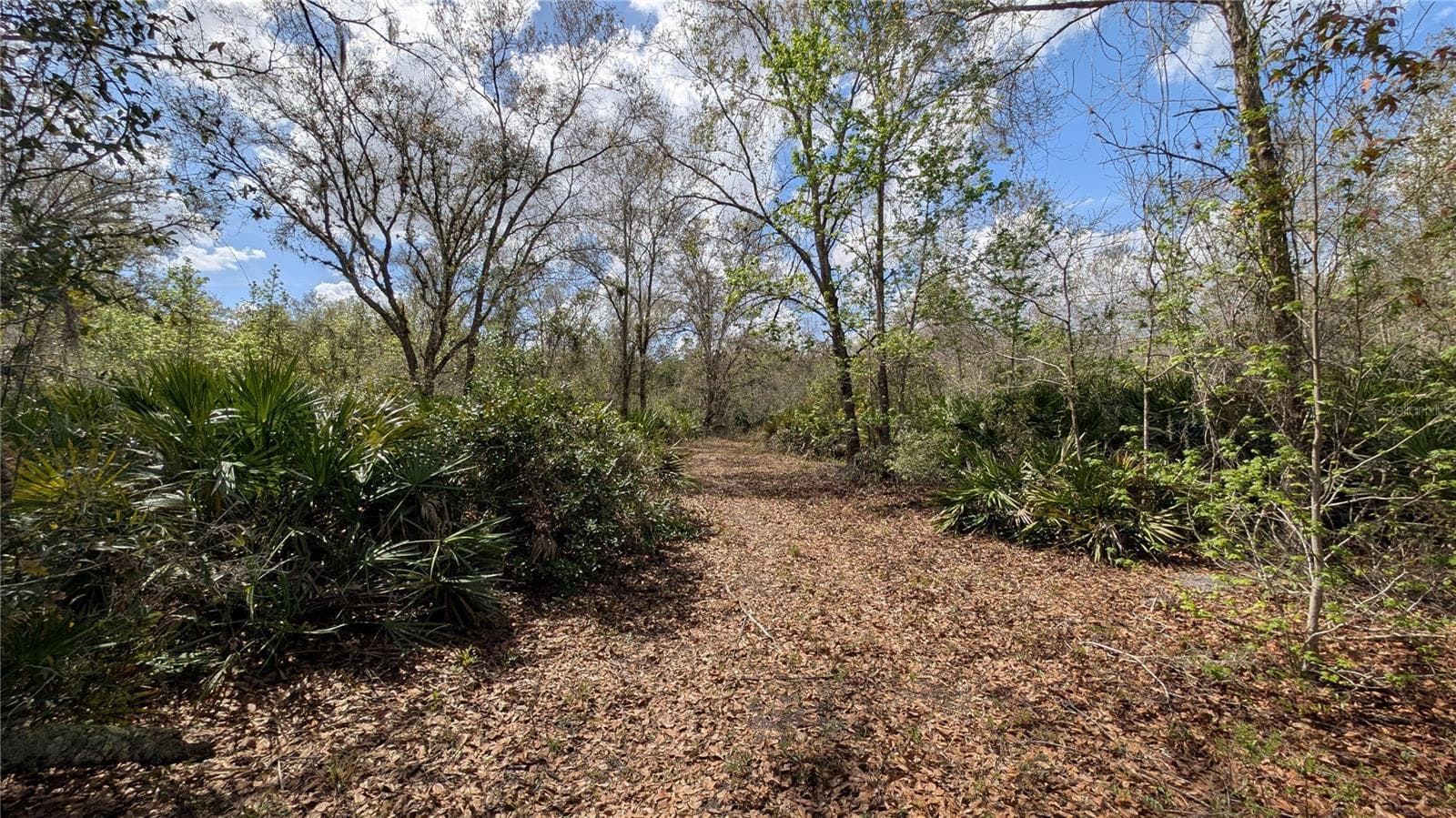 Land at GILLETTE RD, ZOLFO SPRINGS, photo 24 of 86