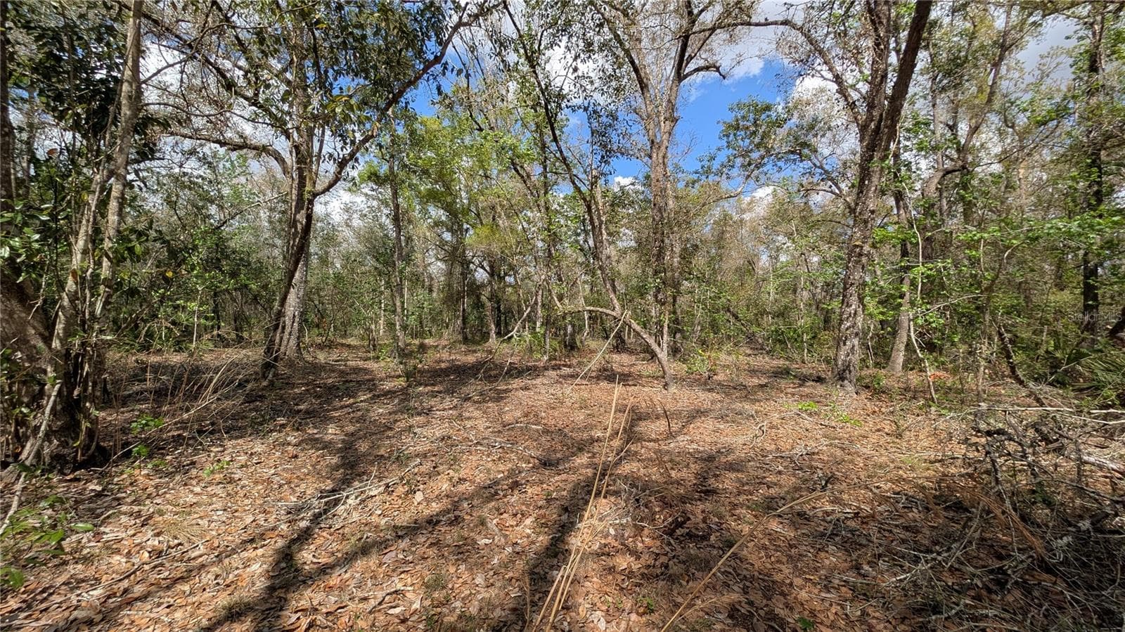 Land at GILLETTE RD, ZOLFO SPRINGS, photo 26 of 86