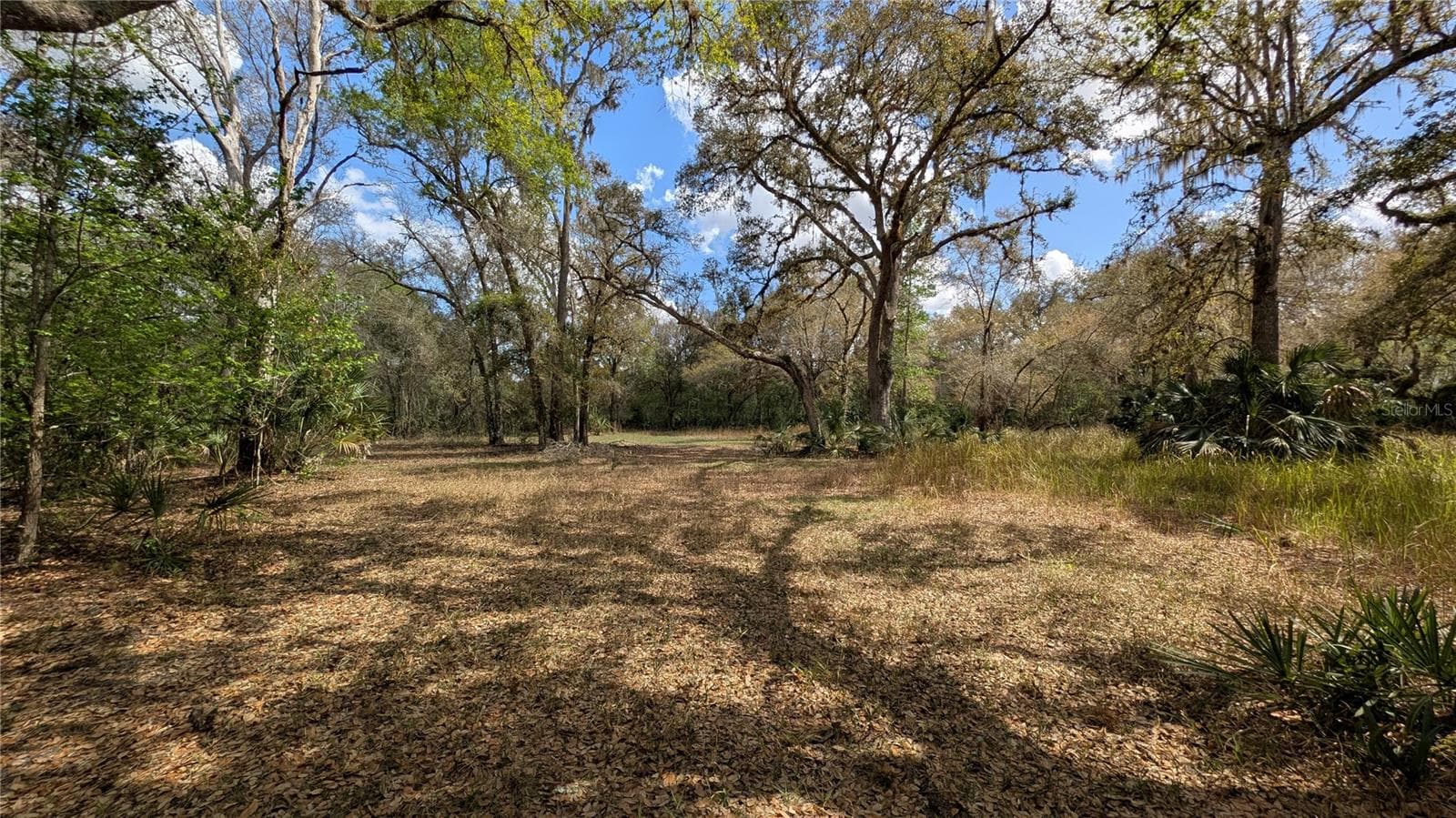 Land at GILLETTE RD, ZOLFO SPRINGS, photo 27 of 86