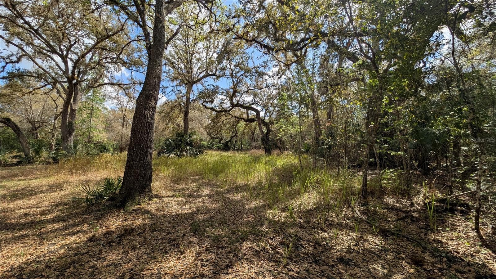 Land at GILLETTE RD, ZOLFO SPRINGS, photo 29 of 86