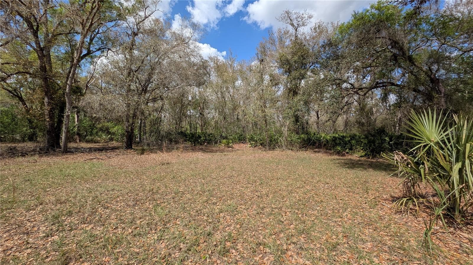 Land at GILLETTE RD, ZOLFO SPRINGS, photo 30 of 86