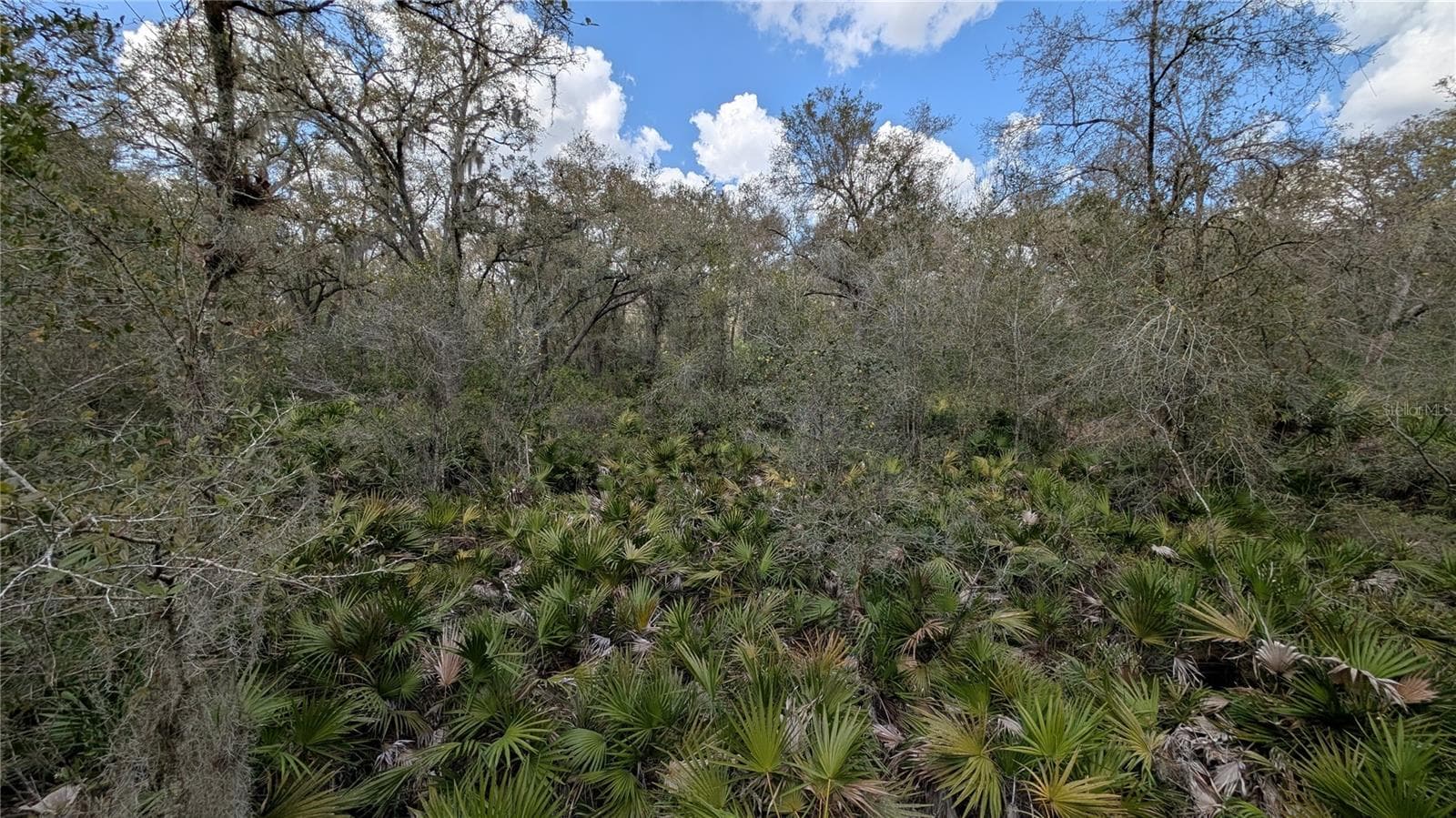 Land at GILLETTE RD, ZOLFO SPRINGS, photo 32 of 86