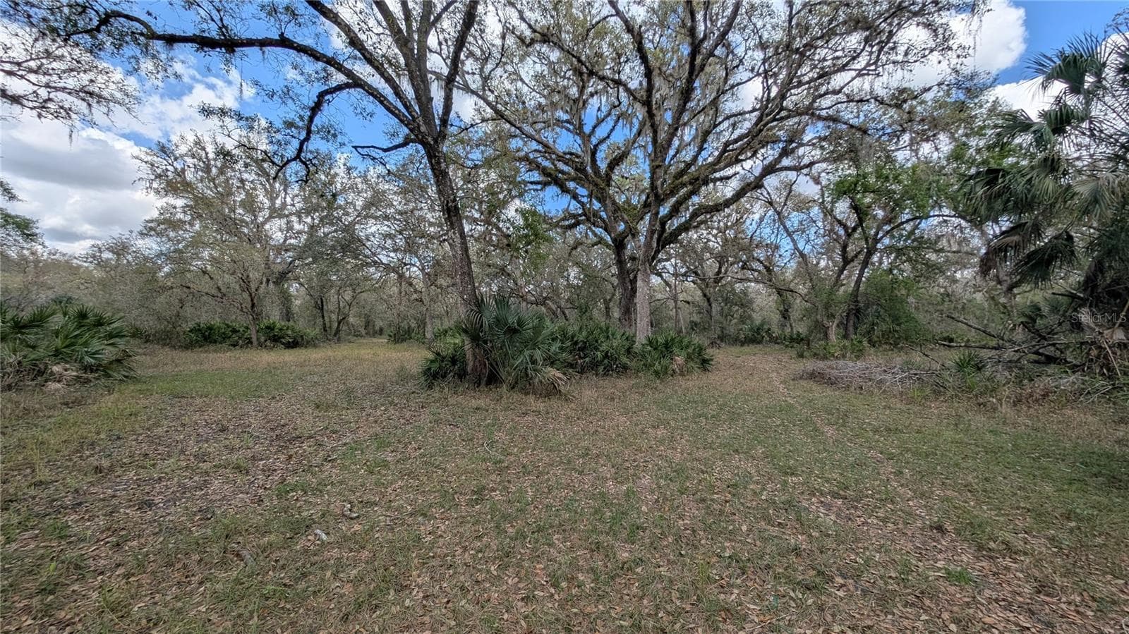 Land at GILLETTE RD, ZOLFO SPRINGS, photo 35 of 86