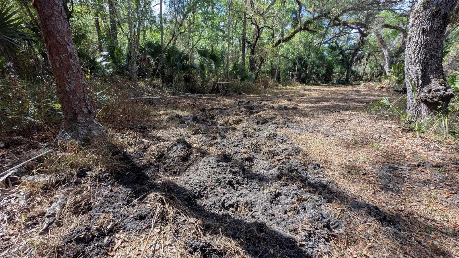 Land at GILLETTE RD, ZOLFO SPRINGS, photo 44 of 86