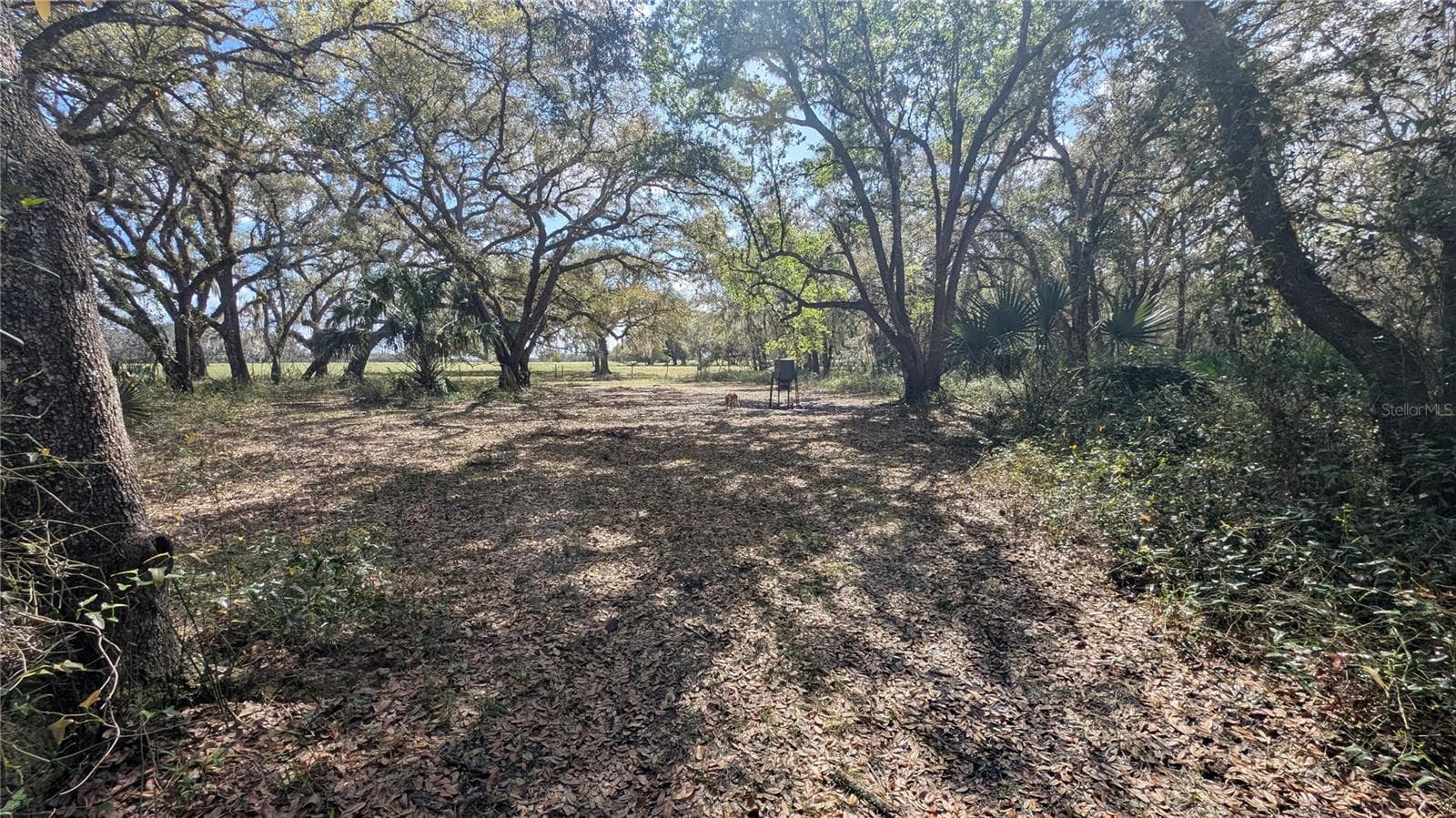 Land at GILLETTE RD, ZOLFO SPRINGS, photo 51 of 86
