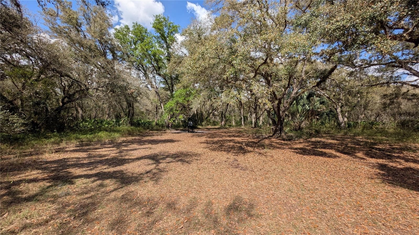 Land at GILLETTE RD, ZOLFO SPRINGS, photo 52 of 86