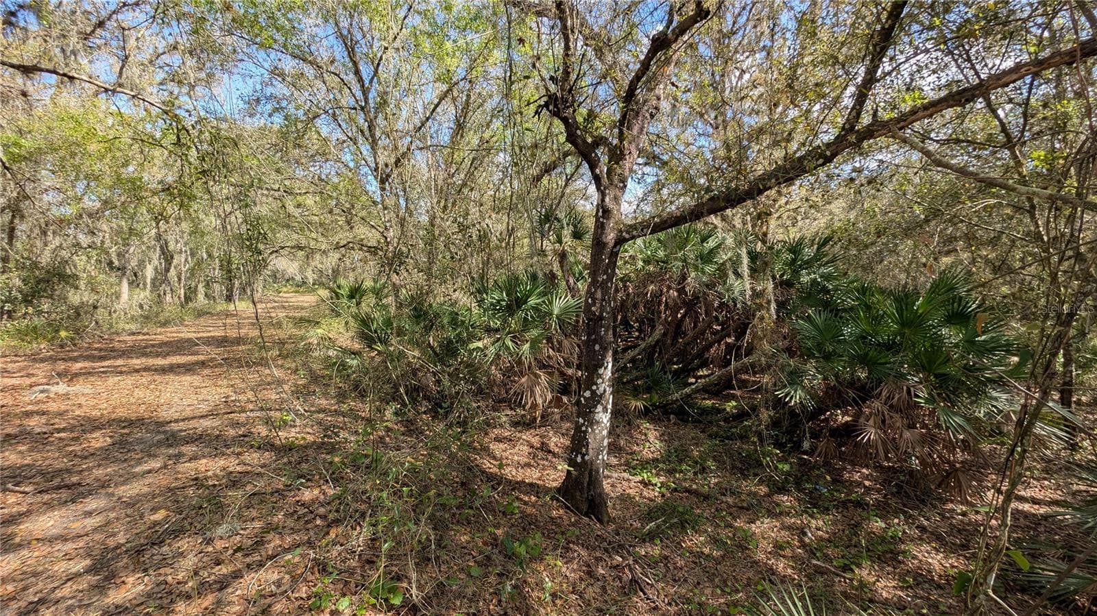 Land at GILLETTE RD, ZOLFO SPRINGS, photo 53 of 86
