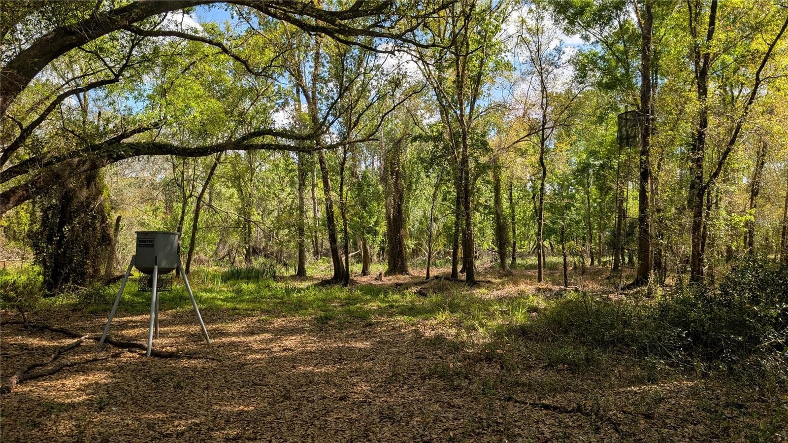 Land at GILLETTE RD, ZOLFO SPRINGS, photo 38 of 86