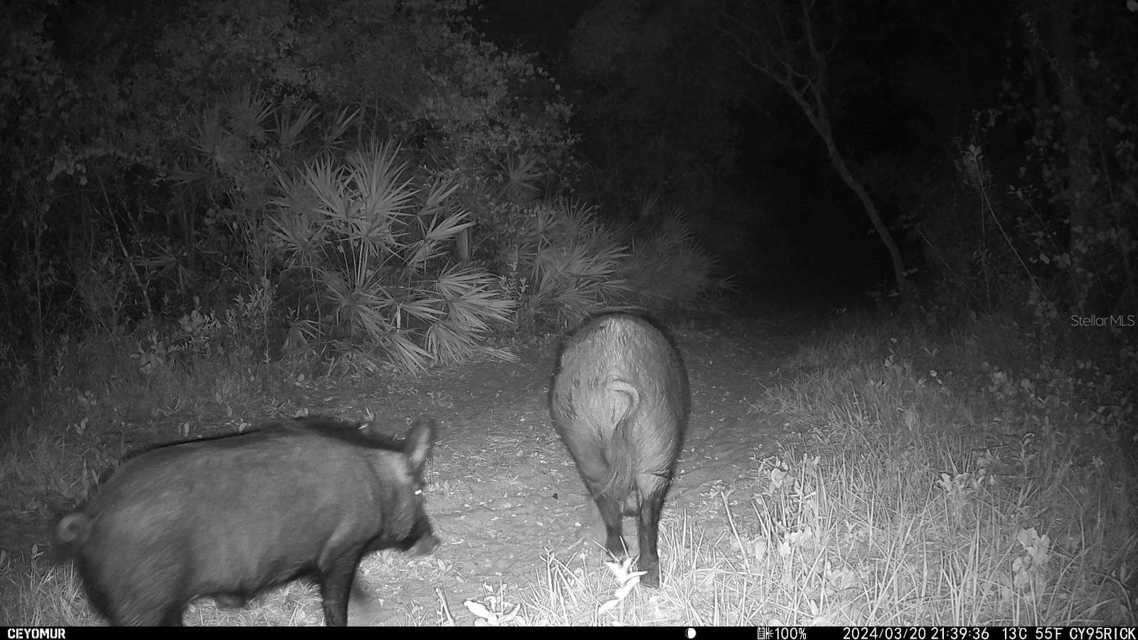 Land at GILLETTE RD, ZOLFO SPRINGS, photo 78 of 86