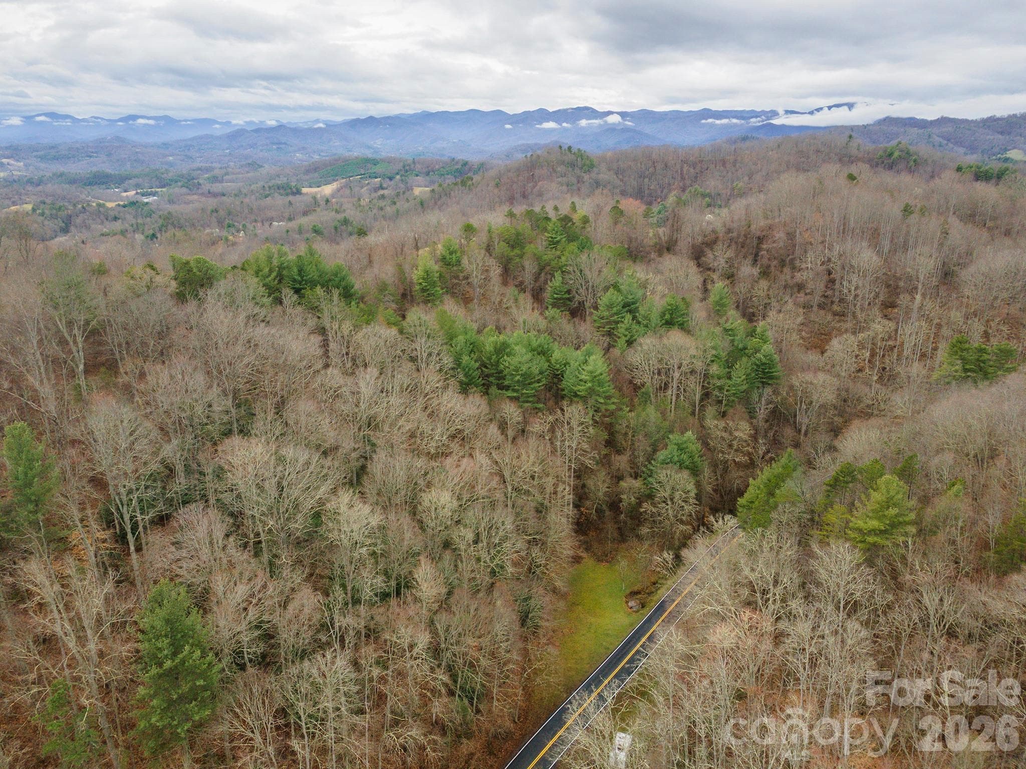 Acreage at 1974 Ammons Branch Road, Marshall, photo 3 of 15