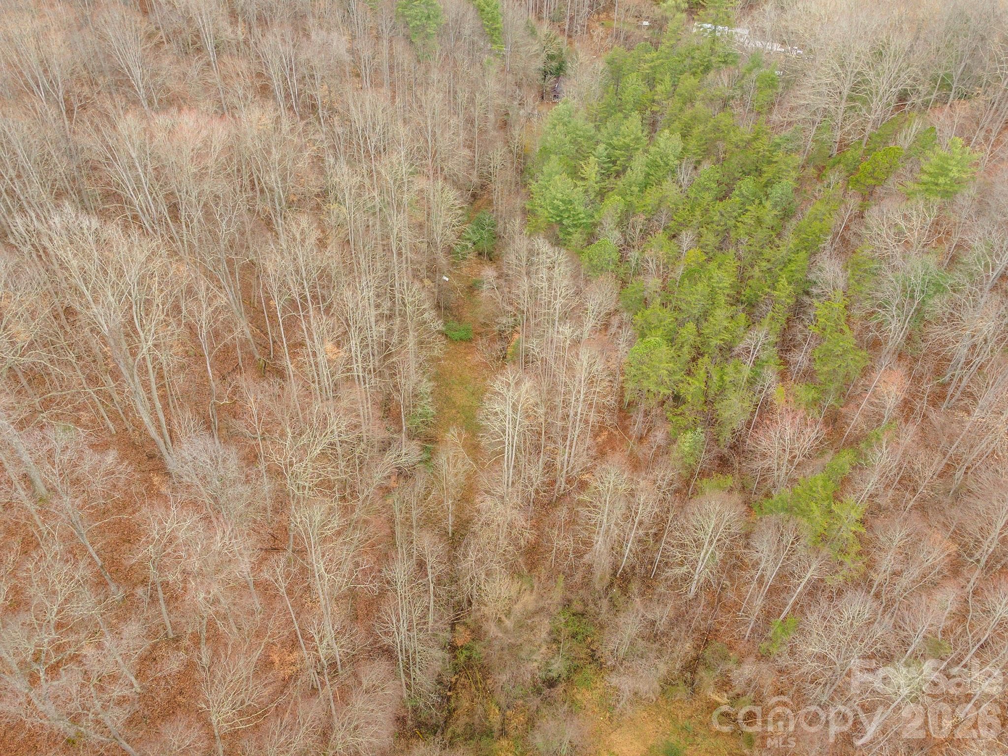 Acreage at 1974 Ammons Branch Road, Marshall, photo 5 of 15
