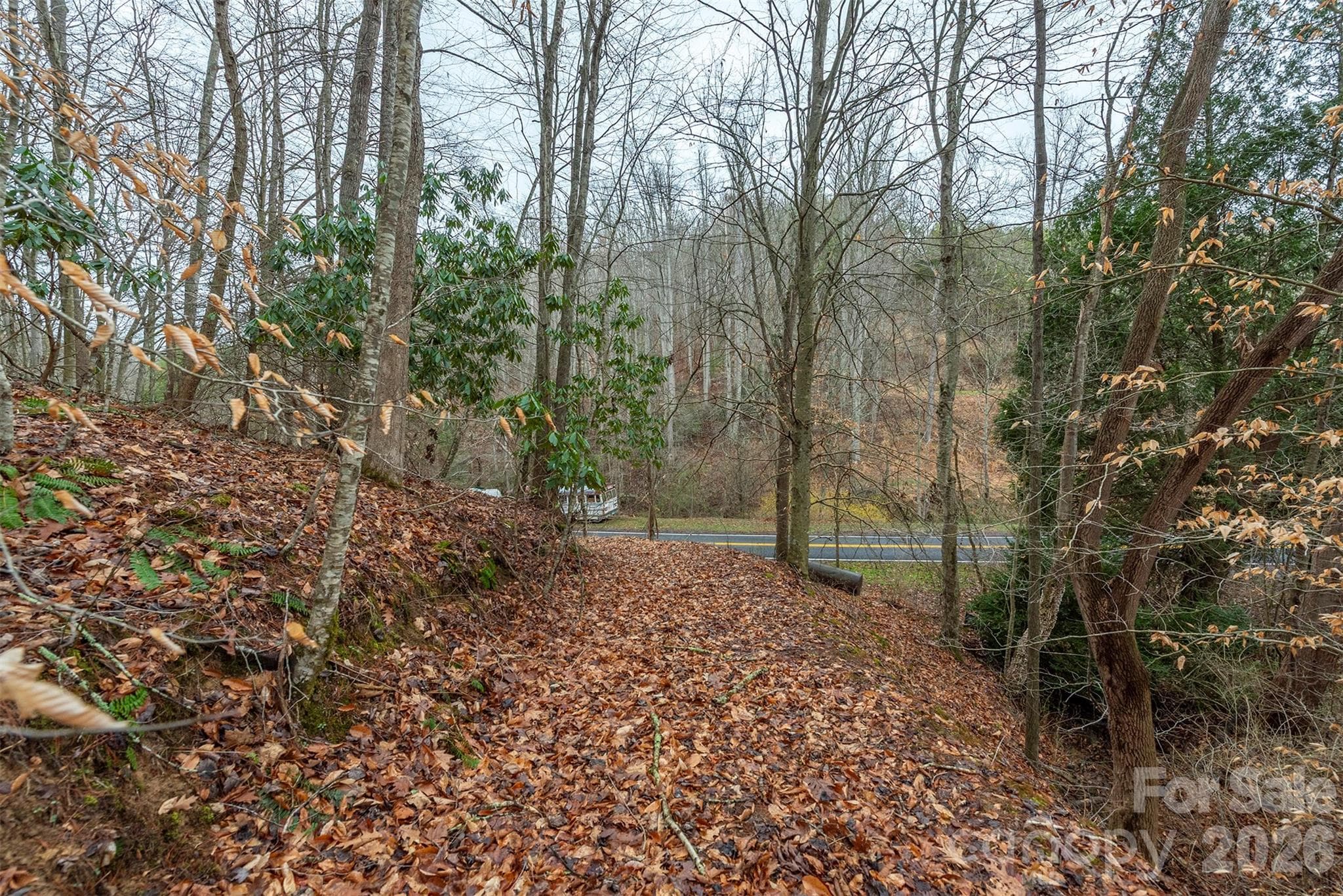Acreage at 1974 Ammons Branch Road, Marshall, photo 9 of 15