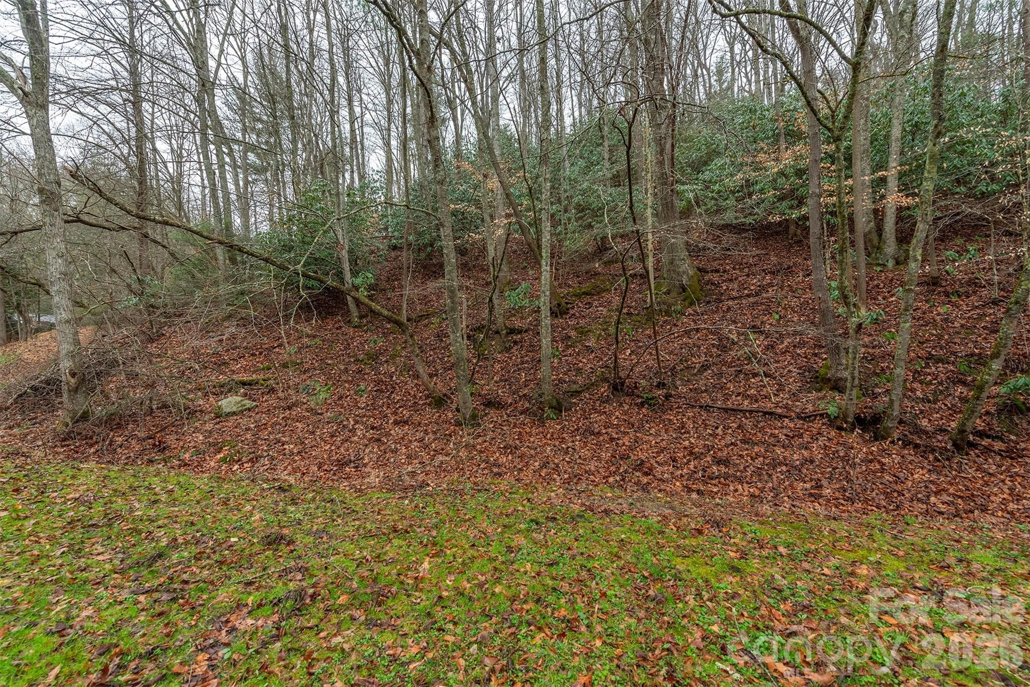 Acreage at 1974 Ammons Branch Road, Marshall, photo 10 of 15