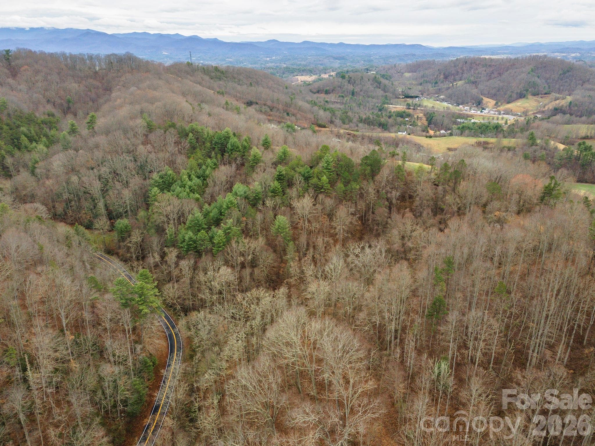 Acreage at 1974 Ammons Branch Road, Marshall, photo 11 of 15