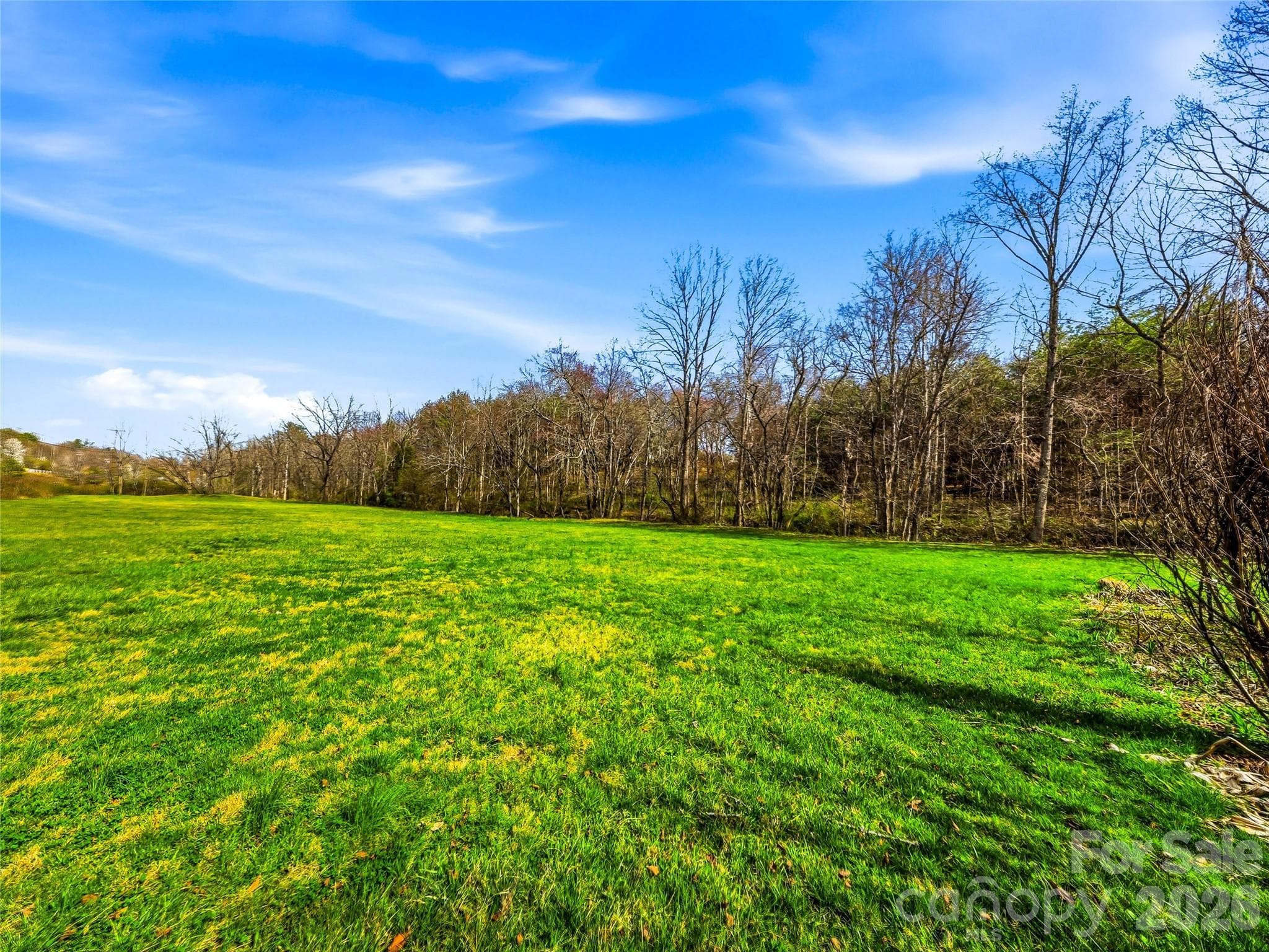 Unlimited possibilities! Creek borders the property - 61 Rolling Hills Road, Mills River