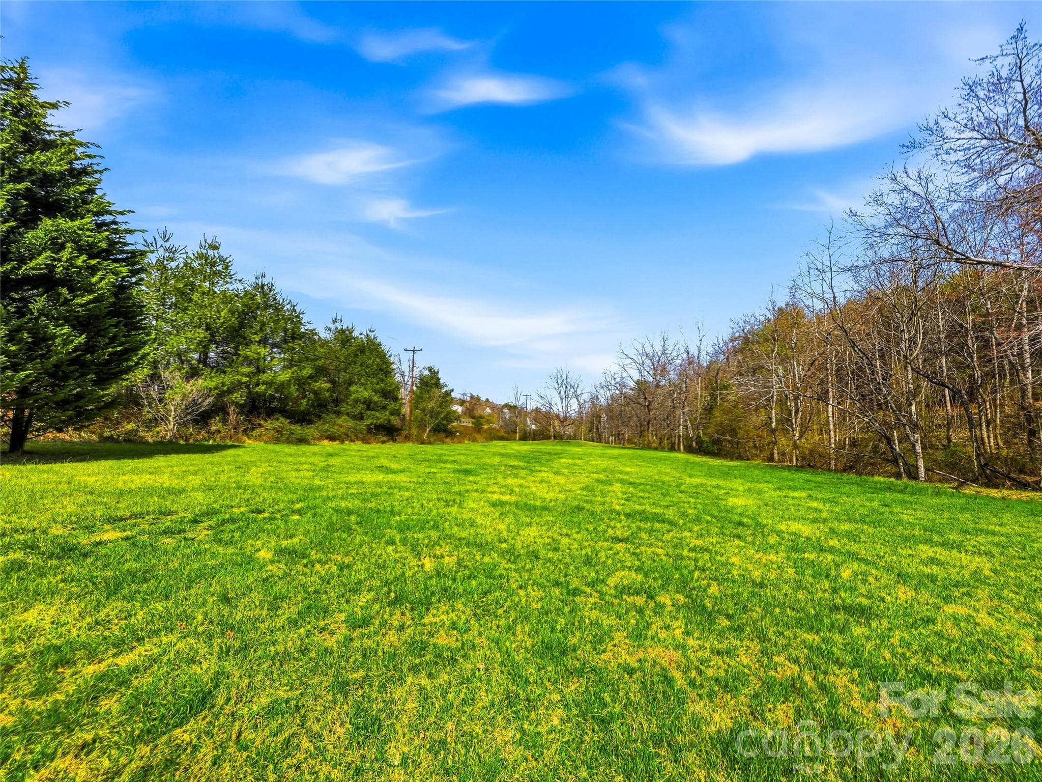 Book your home tour today! - 61 Rolling Hills Road, Mills River
