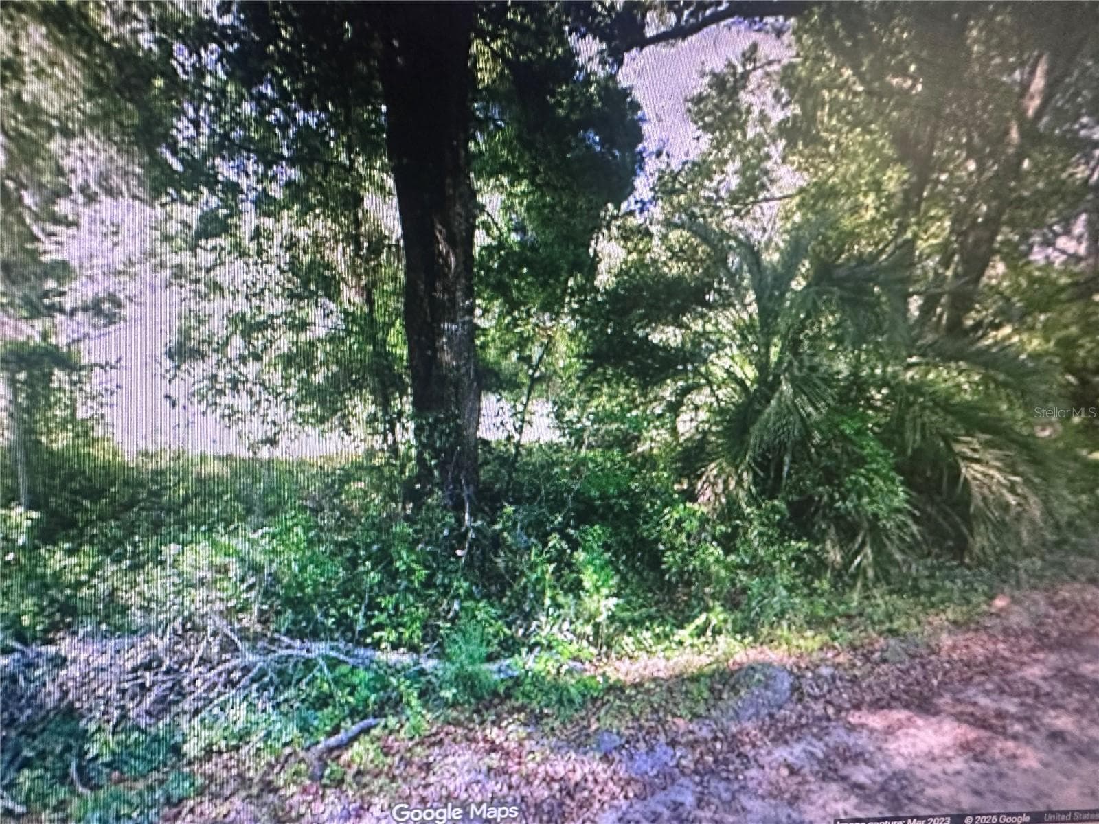 Land at 4289 SE 20TH ST, TRENTON, photo 3 of 5