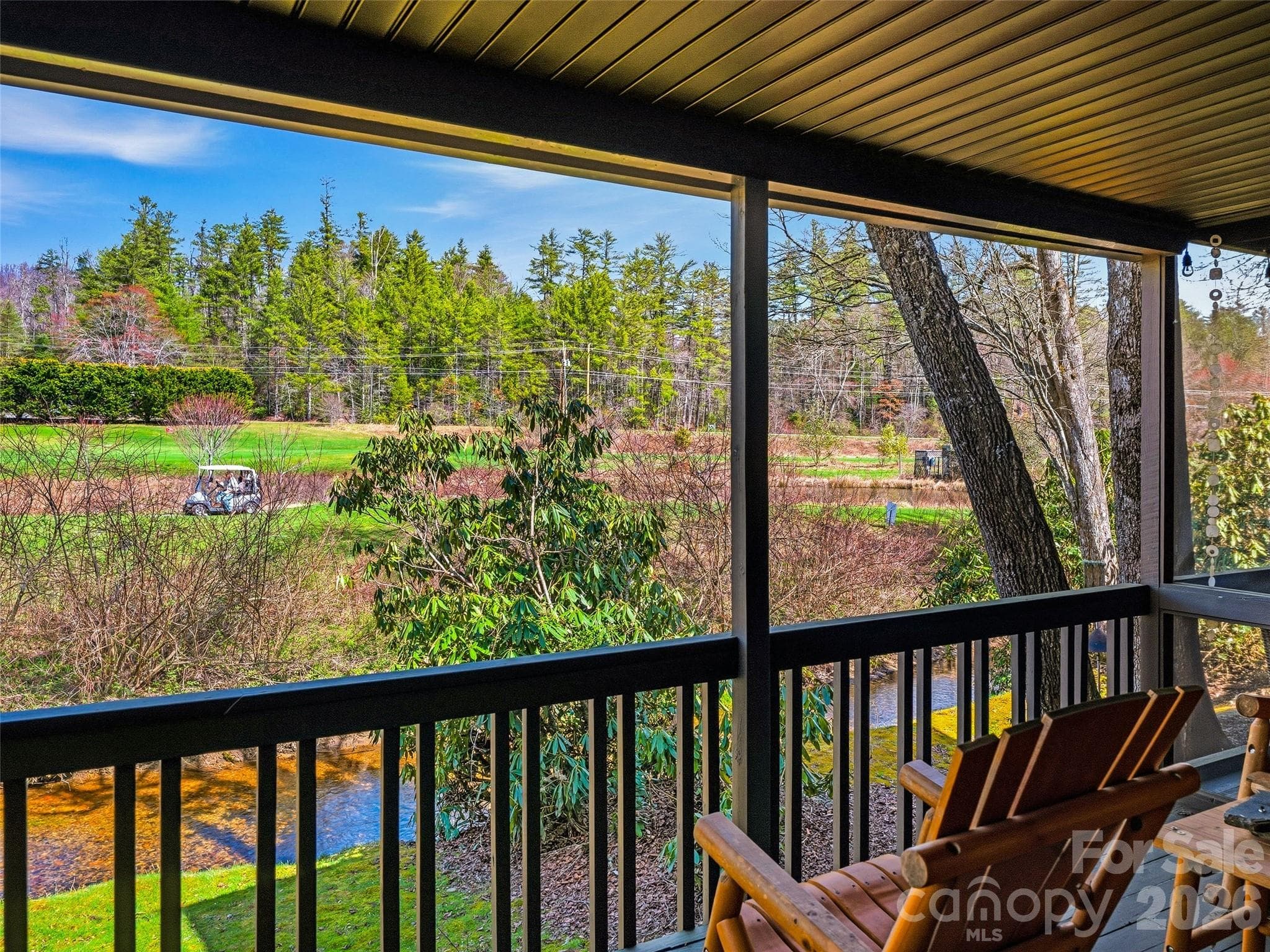 Condominium at Brevard, photo 8 of 57