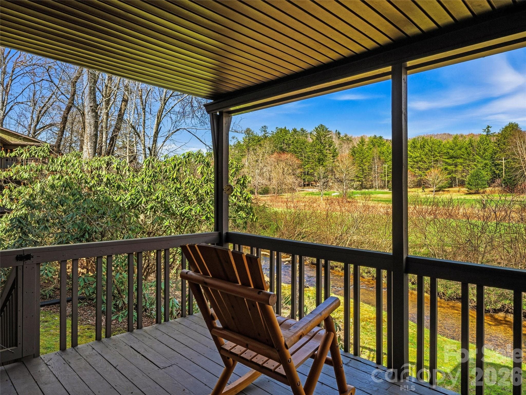 Condominium at Brevard, photo 4 of 57