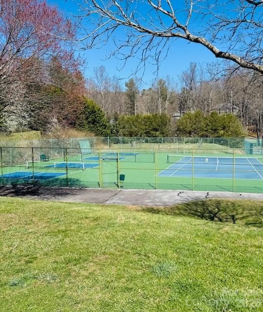 PICKLE BALL AND TENNIS COURTS - 121 Burning Tree Lane, Flat Rock