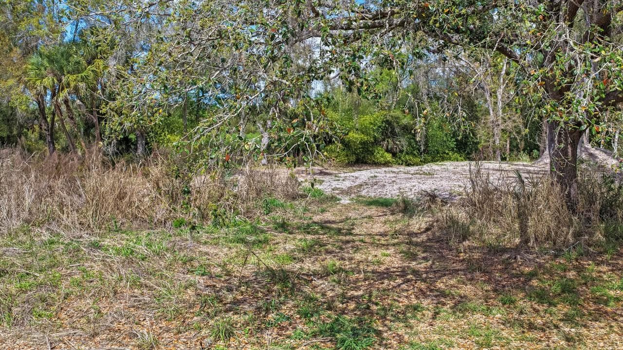 Land at 3106 TIMBERLEE RD, WIMAUMA, photo 54 of 70