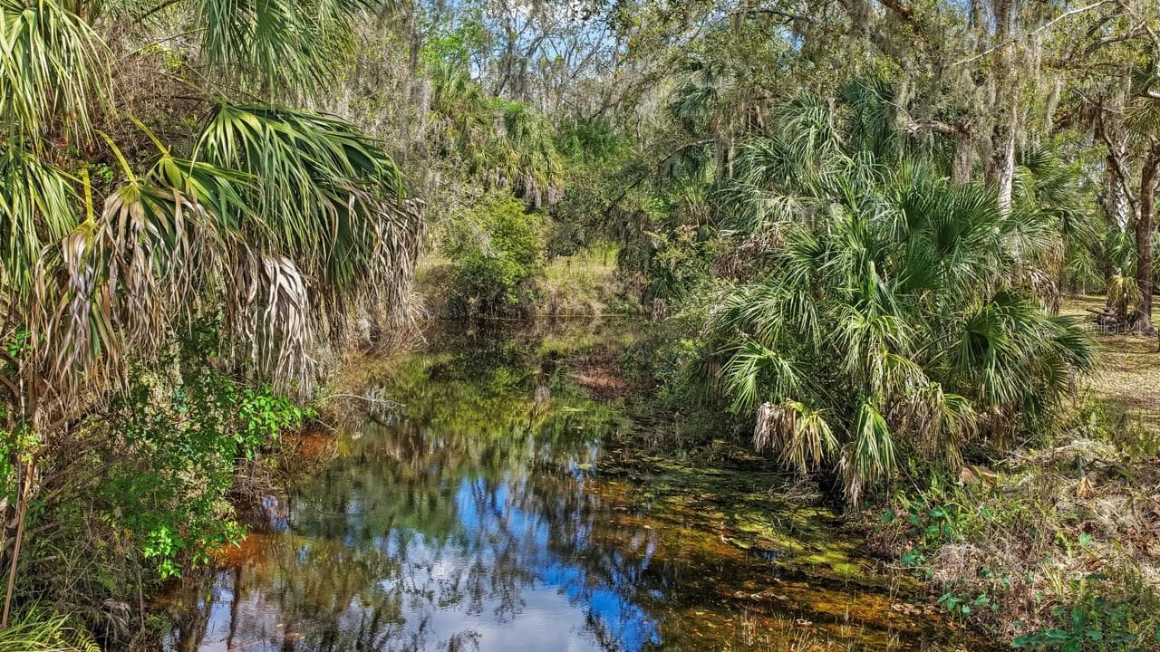 Land at 3106 TIMBERLEE RD, WIMAUMA, photo 58 of 70