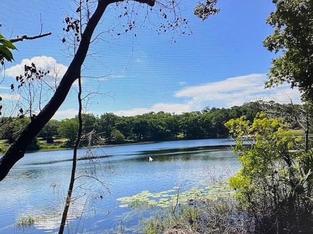 2&3 SPRING LAKE RD