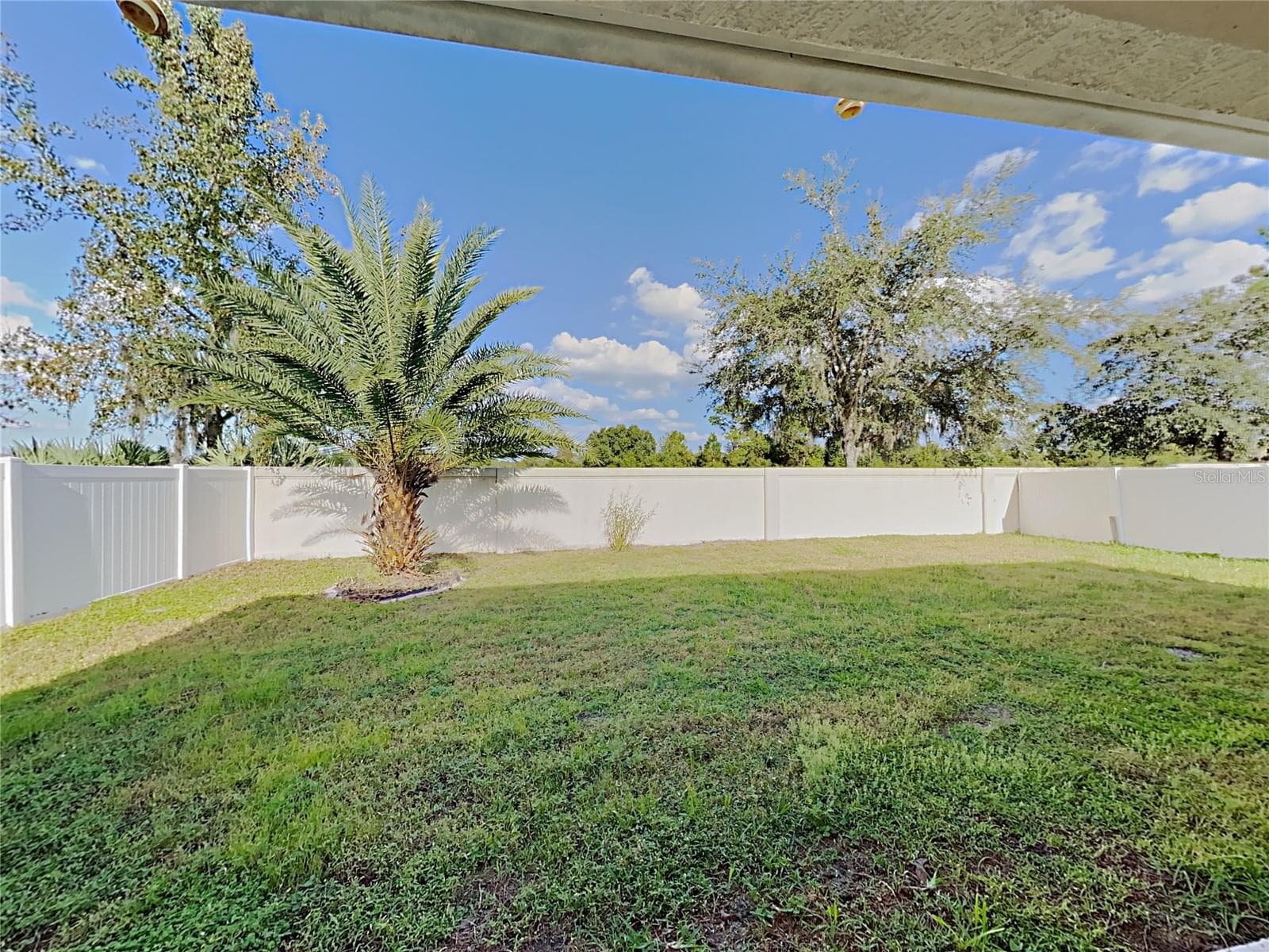 Single Family Residence at 4020 LANGDRUM DR, WESLEY CHAPEL, photo 23 of 24