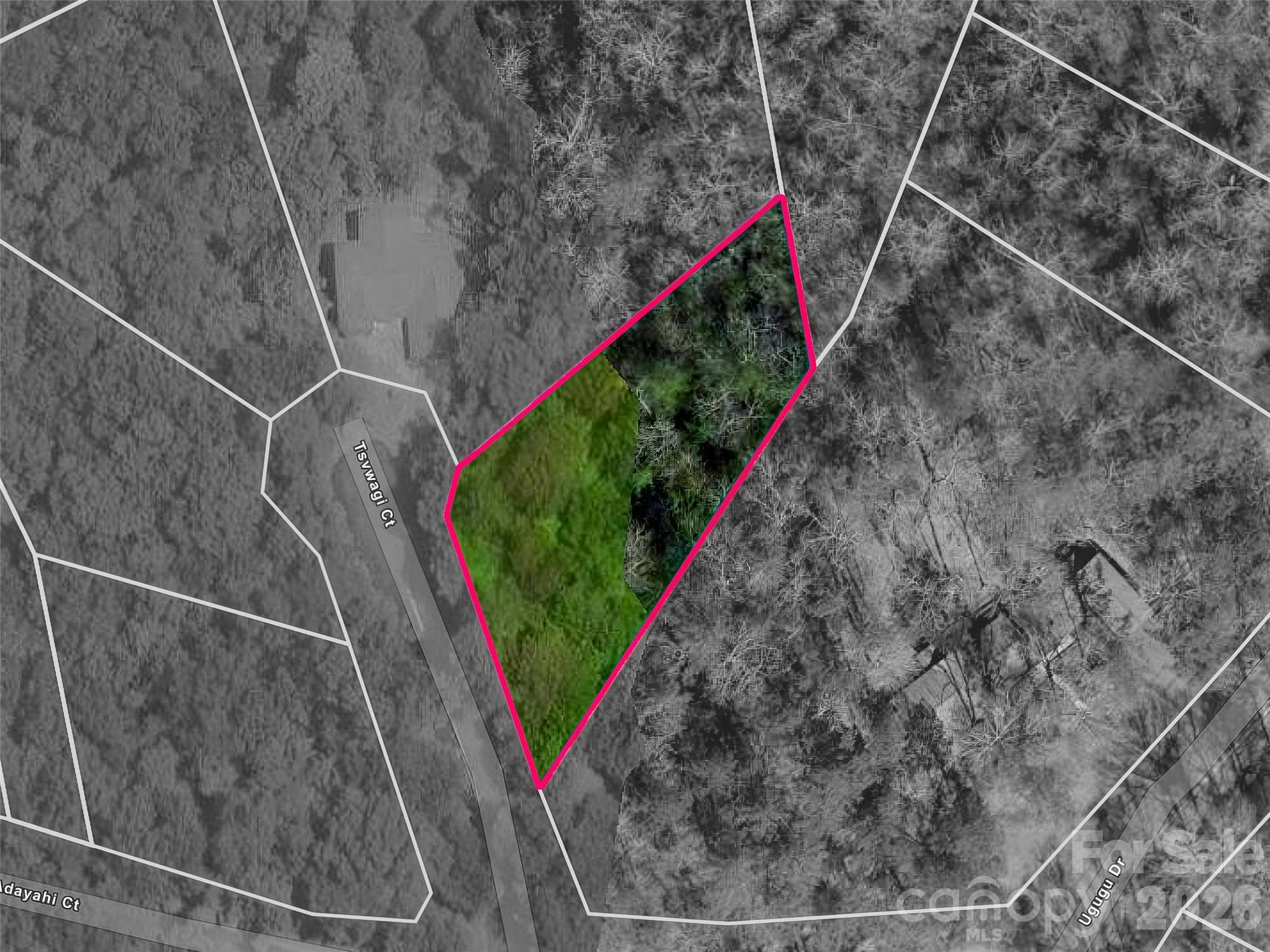 Lot at Brevard, photo 2 of 15