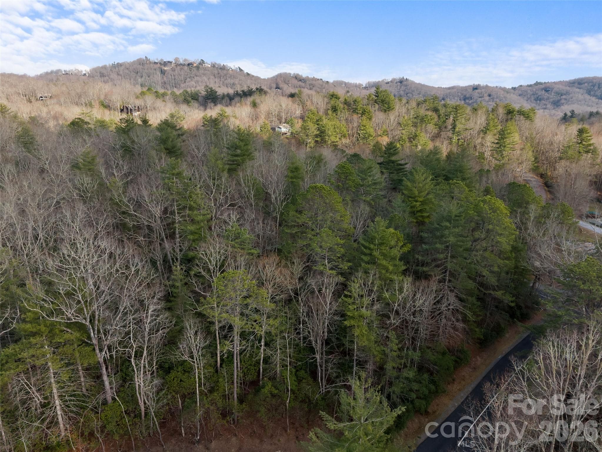 Lot at Brevard, photo 3 of 15