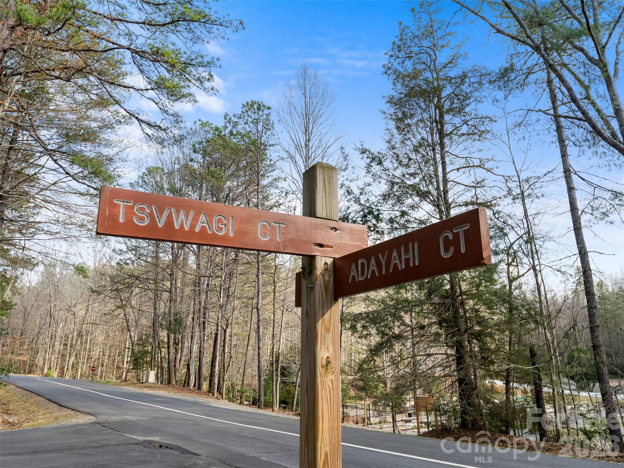 Lot at Brevard, photo 4 of 15