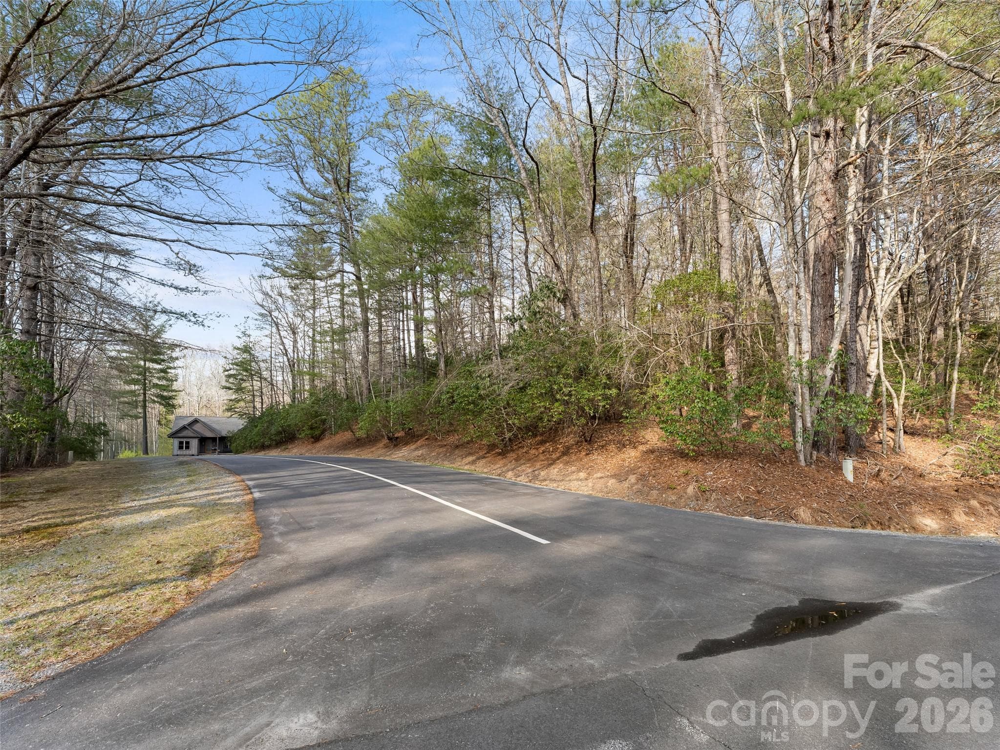 Lot at Brevard, photo 6 of 15