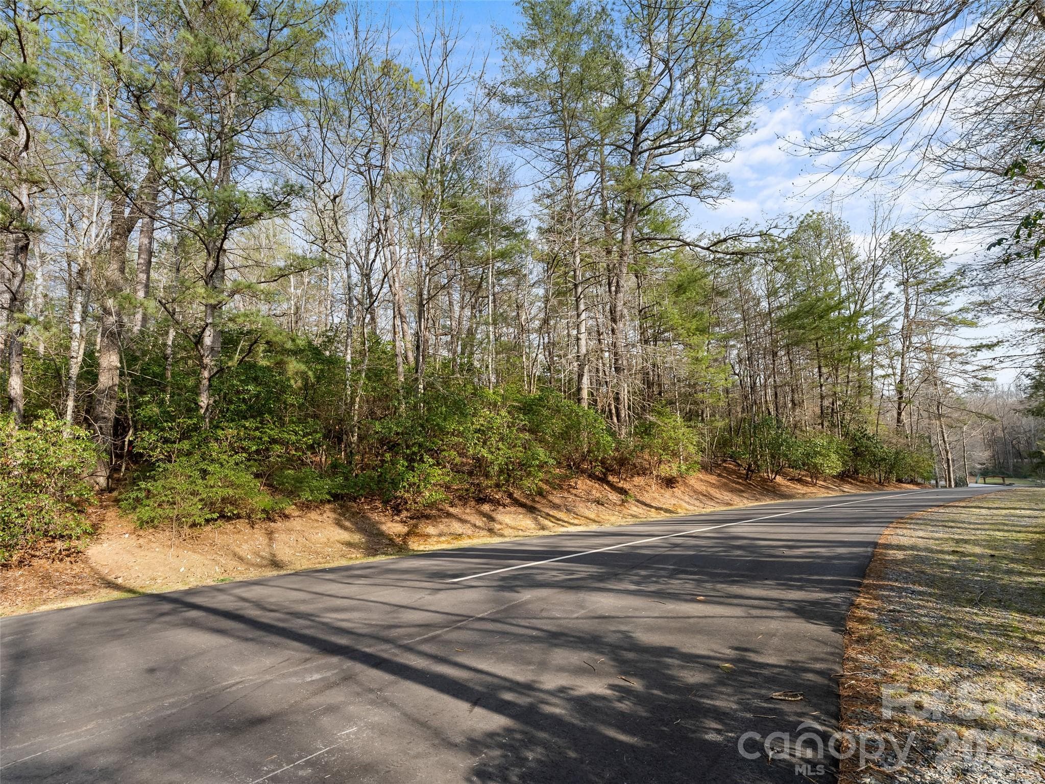 Lot at Brevard, photo 7 of 15