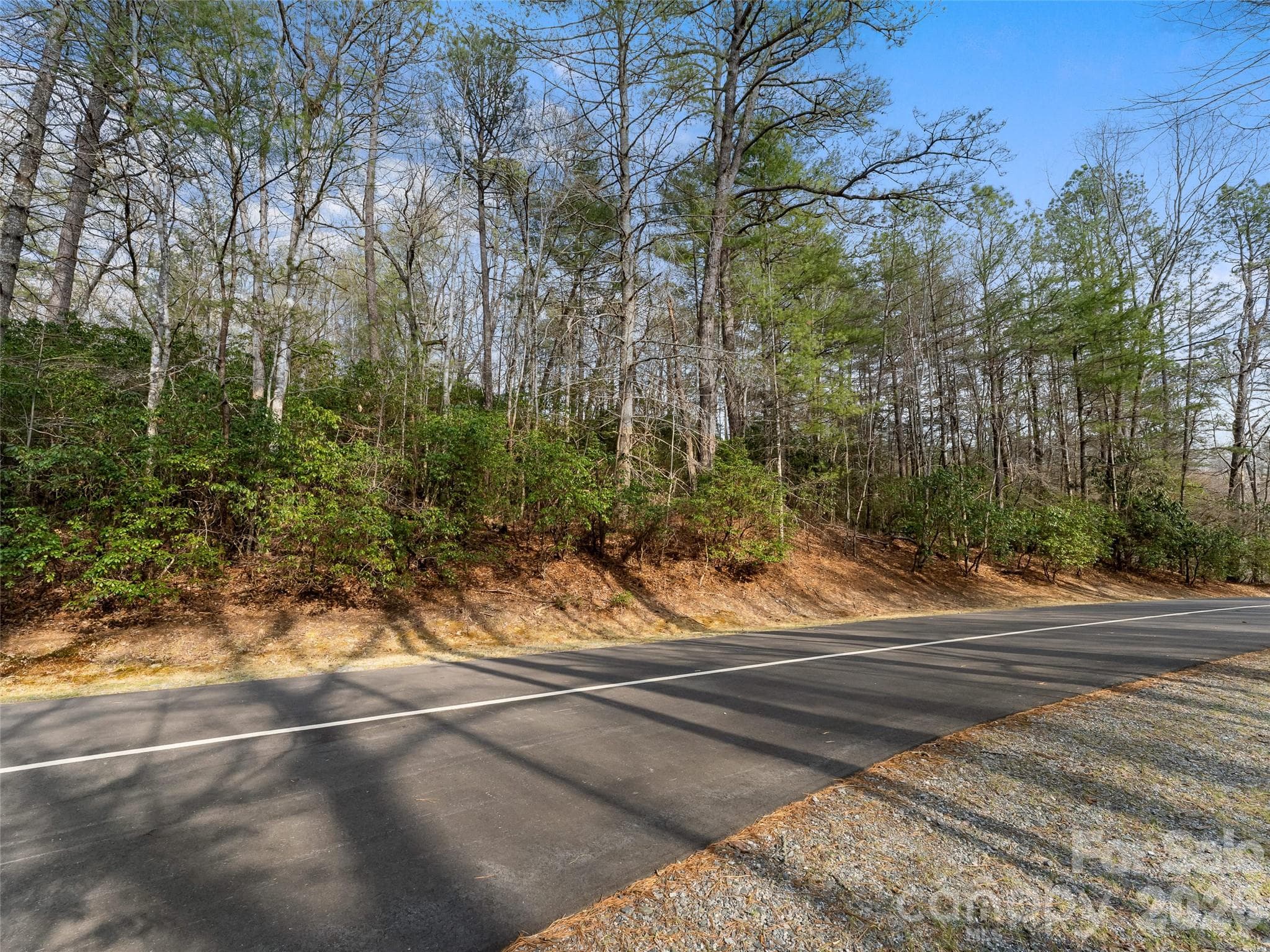 Lot at Brevard, photo 8 of 15
