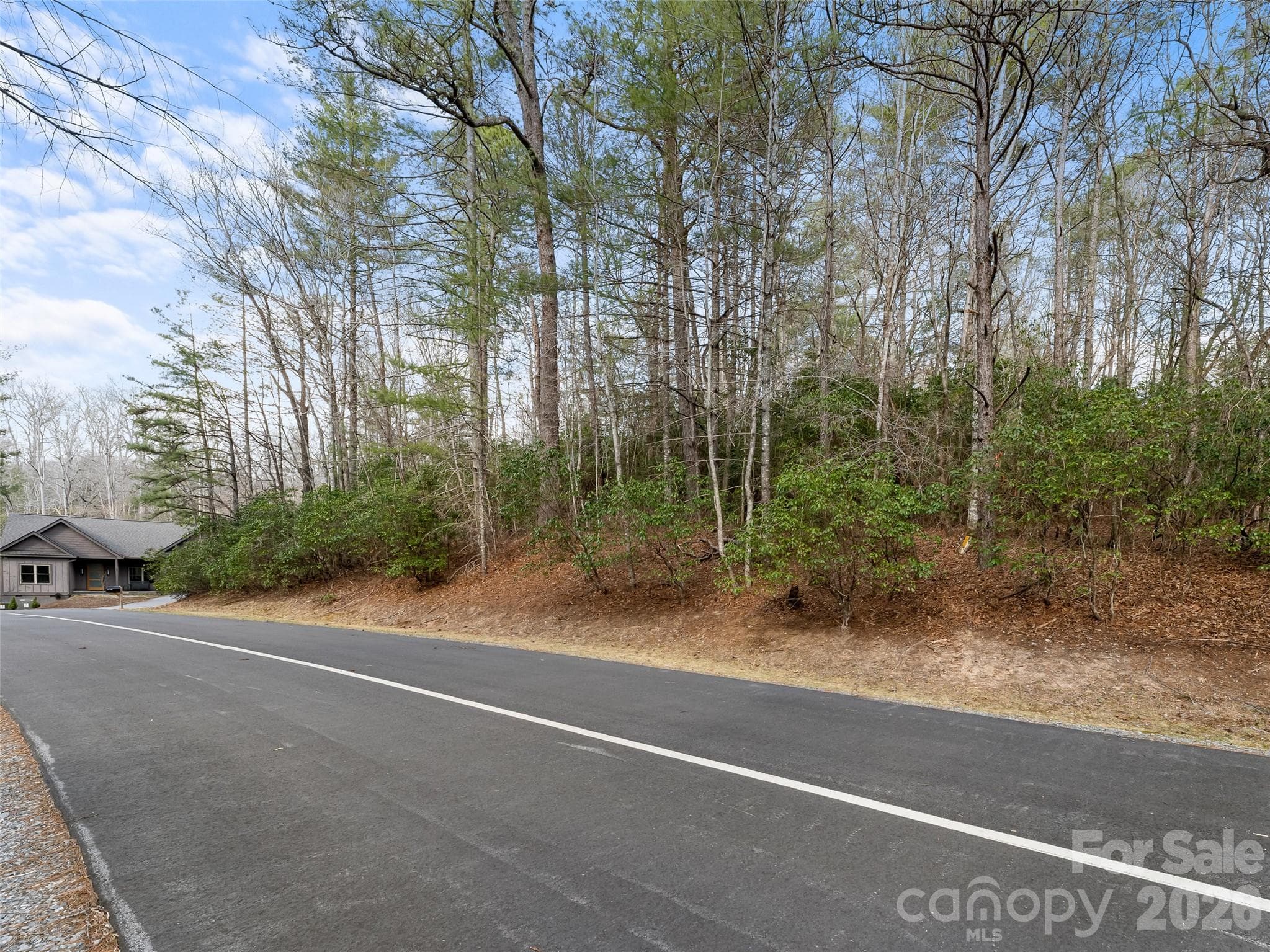 Lot at Brevard, photo 9 of 15