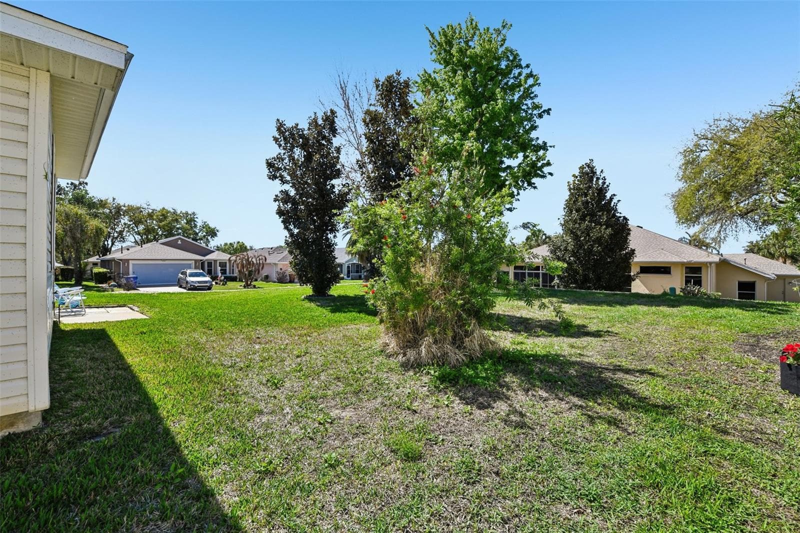 Vegetation will look good again in just a few weeks. - 6105 DORY WAY, TAVARES